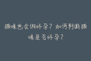 猫咪也会假怀孕?如何判断猫咪是否怀孕?-动物百科