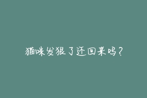 猫咪发狠了还回来吗？-动物百科