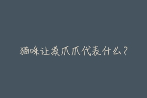猫咪让摸爪爪代表什么？-动物百科