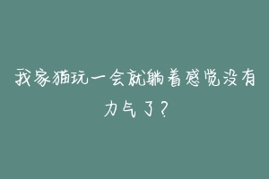 我家猫玩一会就躺着感觉没有力气了？-动物百科