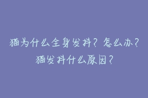 猫为什么全身发抖？怎么办？猫发抖什么原因？-动物百科