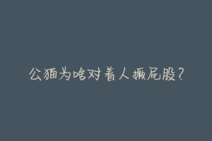 公猫为啥对着人撅屁股？-动物百科