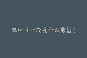 猫叫了一夜是什么原因?-动物百科