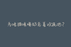 为啥猫咪喝奶总喜欢挠地?-动物百科