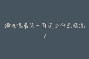 猫咪低着头一直走是什么情况？-动物百科