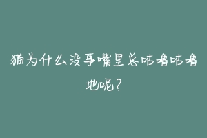 猫为什么没事嘴里总咕噜咕噜地呢？-动物百科