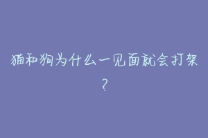 猫和狗为什么一见面就会打架？-动物百科