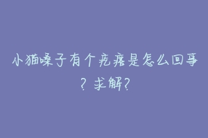 小猫嗓子有个疙瘩是怎么回事？求解？-动物百科