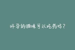 怀孕的猫咪可以吃药吗？-动物百科