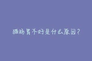 猫肠胃不好是什么原因？-动物百科