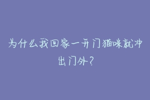 为什么我回家一开门猫咪就冲出门外?-动物百科