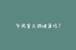 布偶重点猫健康吗?-动物百科