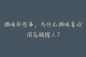 猫咪那些事,为什么猫咪喜欢用后腿蹬人?-动物百科