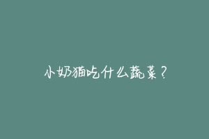 小奶猫吃什么蔬菜？-动物百科