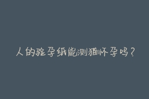 人的验孕纸能测猫怀孕吗？-动物百科