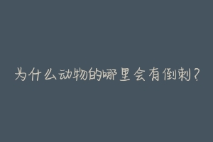 为什么动物的哪里会有倒刺？-动物百科