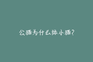 公猫为什么舔小猫？-动物百科