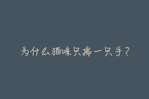 为什么猫咪只揣一只手？-动物百科