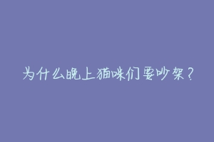 为什么晚上猫咪们要吵架?-动物百科