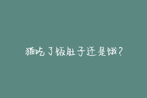 猫吃了饭肚子还是饿?-动物百科