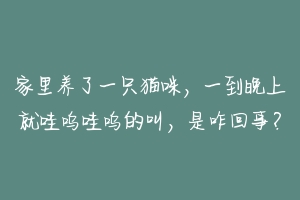 家里养了一只猫咪,一到晚上就哇呜哇呜的叫,是咋回事?-动物百科