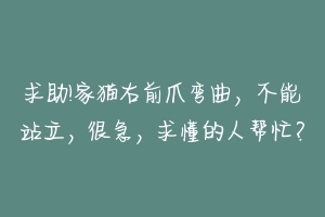 求助!家猫右前爪弯曲,不能站立,很急,求懂的人帮忙?-动物百科
