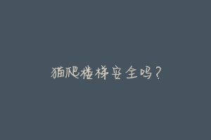 猫爬楼梯安全吗?-动物百科