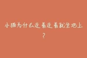 小猫为什么走着走着就坐地上?-动物百科