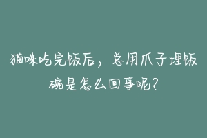 猫咪吃完饭后,总用爪子埋饭碗是怎么回事呢?-动物百科