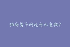 猫肠胃不好吃什么食物?-动物百科