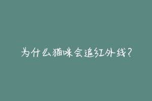 为什么猫咪会追红外线?-动物百科