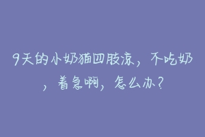 9天的小奶猫四肢凉，不吃奶，着急啊，怎么办？-动物百科