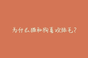 为什么猫和狗喜欢舔毛?-动物百科
