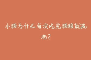 小猫为什么每次吃完猫粮就挠地?-动物百科