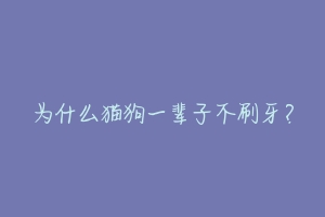 为什么猫狗一辈子不刷牙?-动物百科