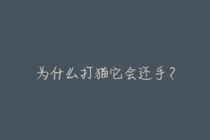 为什么打猫它会还手?-动物百科