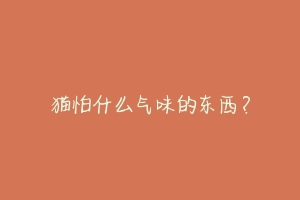 猫怕什么气味的东西?-动物百科