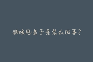 猫咪甩鼻子是怎么回事?-动物百科