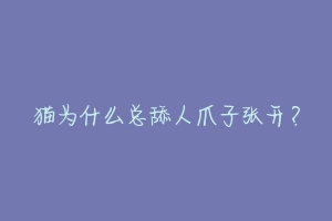 猫为什么总舔人爪子张开?-动物百科