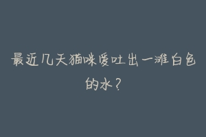 最近几天猫咪爱吐出一滩白色的水?-动物百科