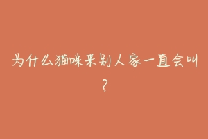 为什么猫咪来别人家一直会叫?-动物百科