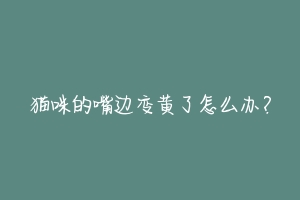 猫咪的嘴边变黄了怎么办?-动物百科