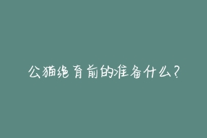 公猫绝育前的准备什么?-动物百科