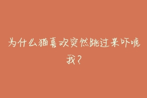 为什么猫喜欢突然跳过来吓唬我?-动物百科