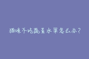 猫咪不吃蔬菜水果怎么办?-动物百科