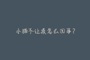 小猫不让摸怎么回事?-动物百科