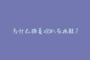 为什么猫喜欢趴在拖鞋?-动物百科