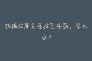 猫猫拉屎总是拉到外面,怎么办?-动物百科