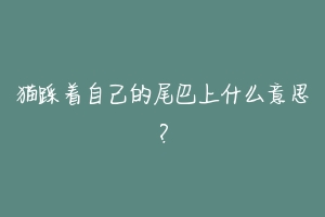 猫踩着自己的尾巴上什么意思?-动物百科