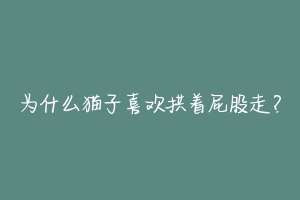 为什么猫子喜欢拱着屁股走?-动物百科